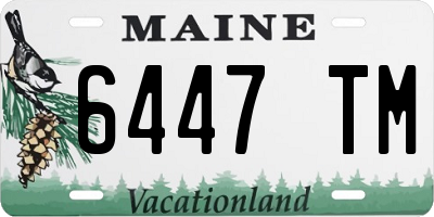 ME license plate 6447TM