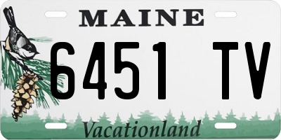 ME license plate 6451TV