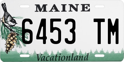 ME license plate 6453TM