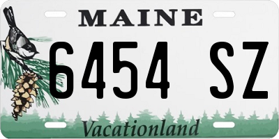 ME license plate 6454SZ