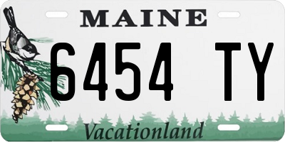 ME license plate 6454TY