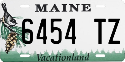 ME license plate 6454TZ