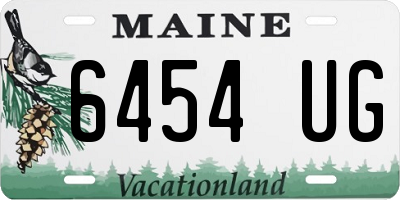 ME license plate 6454UG