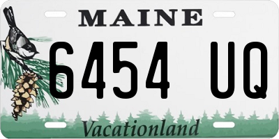 ME license plate 6454UQ