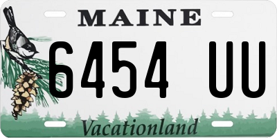 ME license plate 6454UU