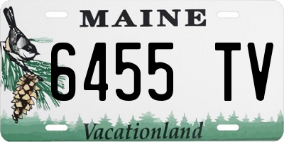 ME license plate 6455TV