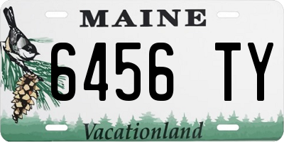 ME license plate 6456TY