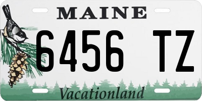 ME license plate 6456TZ