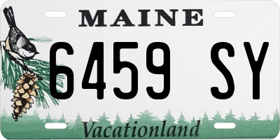 ME license plate 6459SY