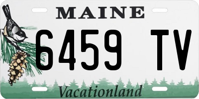 ME license plate 6459TV