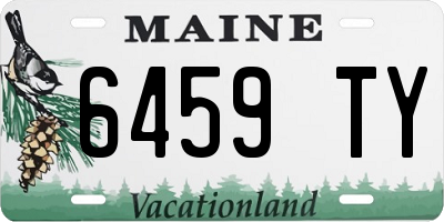 ME license plate 6459TY