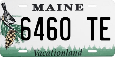 ME license plate 6460TE