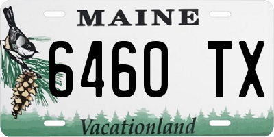 ME license plate 6460TX