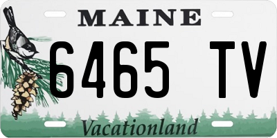 ME license plate 6465TV