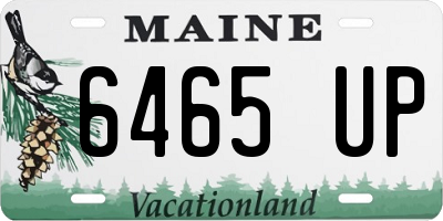 ME license plate 6465UP