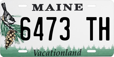ME license plate 6473TH