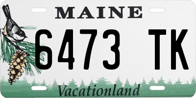 ME license plate 6473TK