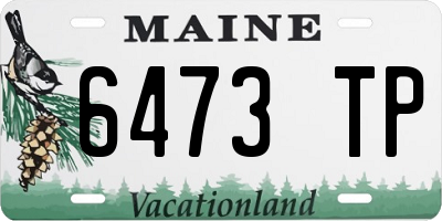 ME license plate 6473TP