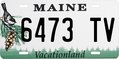 ME license plate 6473TV