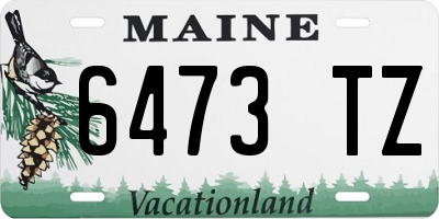 ME license plate 6473TZ