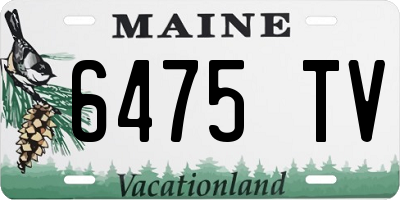 ME license plate 6475TV