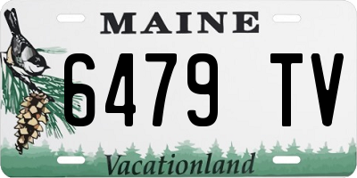 ME license plate 6479TV