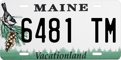 ME license plate 6481TM