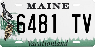 ME license plate 6481TV