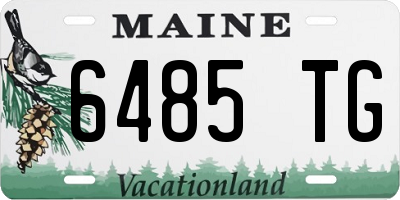 ME license plate 6485TG