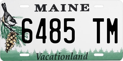 ME license plate 6485TM