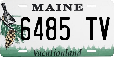 ME license plate 6485TV