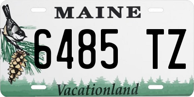 ME license plate 6485TZ
