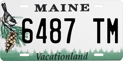 ME license plate 6487TM