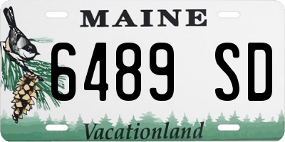 ME license plate 6489SD