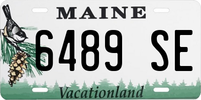 ME license plate 6489SE