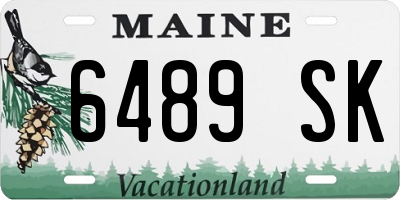 ME license plate 6489SK