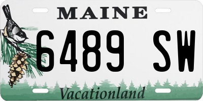 ME license plate 6489SW