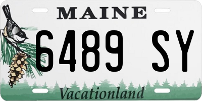 ME license plate 6489SY