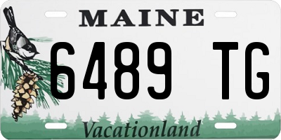 ME license plate 6489TG