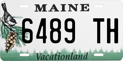 ME license plate 6489TH
