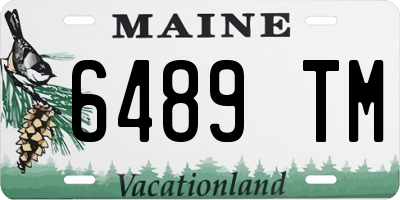 ME license plate 6489TM
