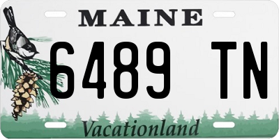 ME license plate 6489TN