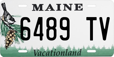 ME license plate 6489TV
