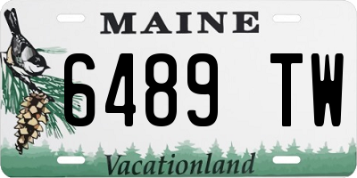 ME license plate 6489TW