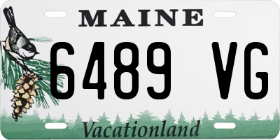 ME license plate 6489VG