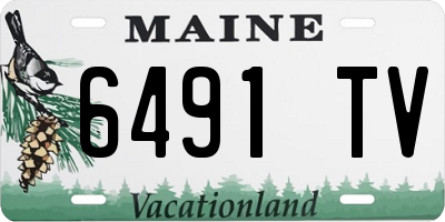 ME license plate 6491TV