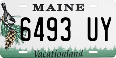 ME license plate 6493UY