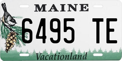 ME license plate 6495TE