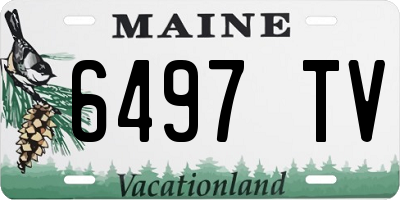 ME license plate 6497TV