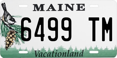 ME license plate 6499TM